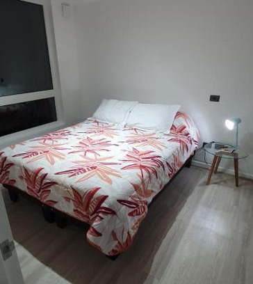 Valdivia Apartamento | DEPA CENTRO VALDIVIA