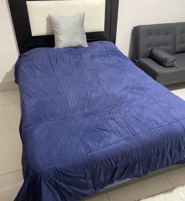 Torreón Apartamento | Departamento Céntrico Alameda