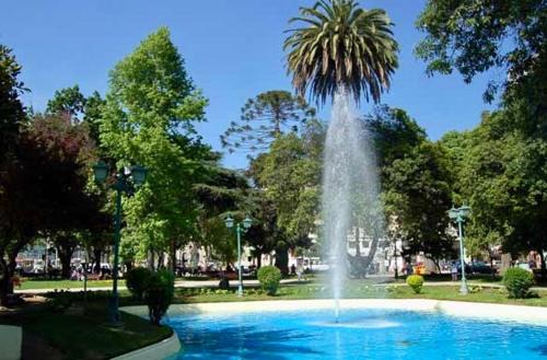 Vina del Mar Apartamento | Departamento centro de Viña del Mar