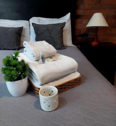 Puebla Apartamento | Departamento en Cholula Pue La Pirámide