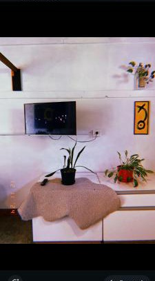 Alta Gracia Apartamento | Departamento katzen