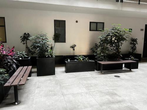 Ciudad de México centro Apartamento | Departamento moderno