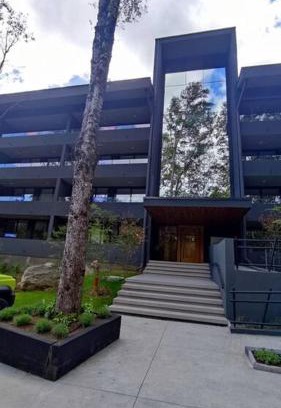 Pucon Apartamento | Departamento muy confortable y cómodo en lugar muy tranquilo