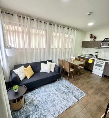 Roma Sur Apartamento | Departamento Roma 1 CDMX