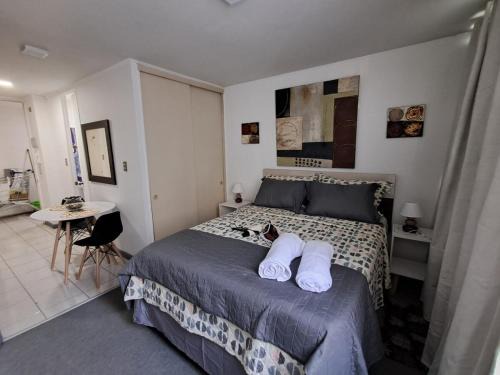 Downtown Santiago Apartamento | Departamento tipo estudio, cercano al Movistar Arenas y Teatro Caupolican