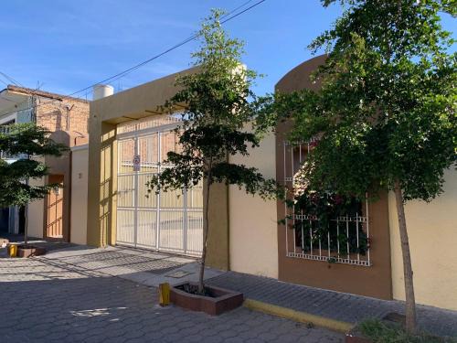 Tequila Apartamento | Departamento Tres Soles