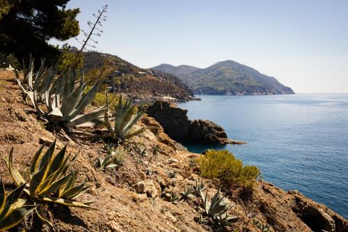 Bonassola Apartamento | Dependance del Paradiso