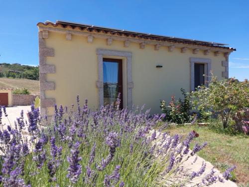 Arzachena Apartamento | Dependance Pavoncella