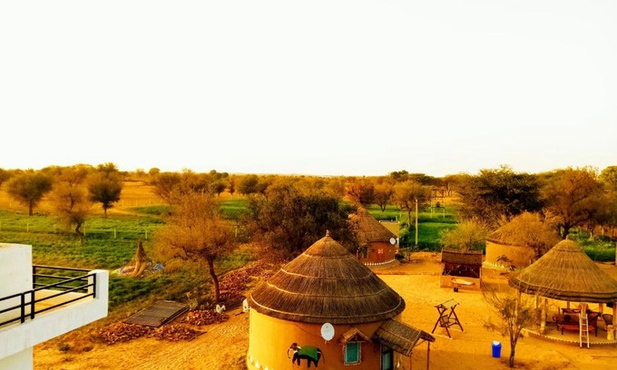 Shekhawati Complejo | Desert Nights