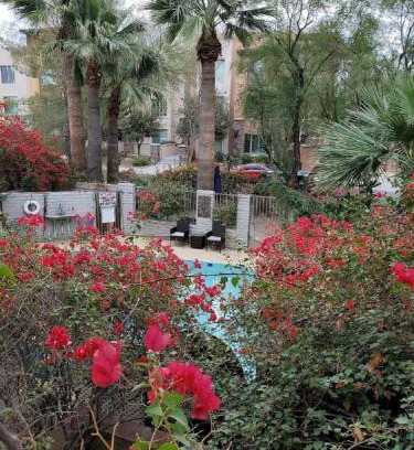 South Scottsdale Apartamento | Desert Rose Villas - Private One Bedroom in Old Town Scottsdale