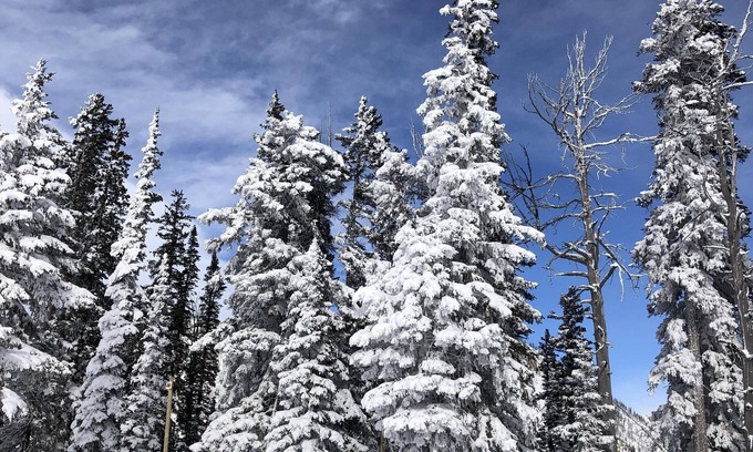 Moose Wilson Road Condominio | Deseable Aspens 'Berry Patch Condo Creekside Aislado Baños y pisos nuevos