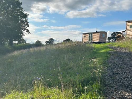 Chittlehampton Casa | Devon Peaceful shepherds hut with hammock