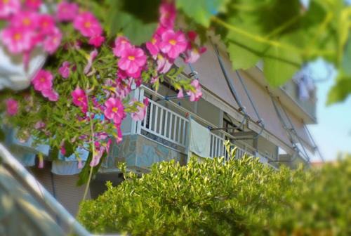 Toroni Apartamento | DIALEKTI STUDIOS