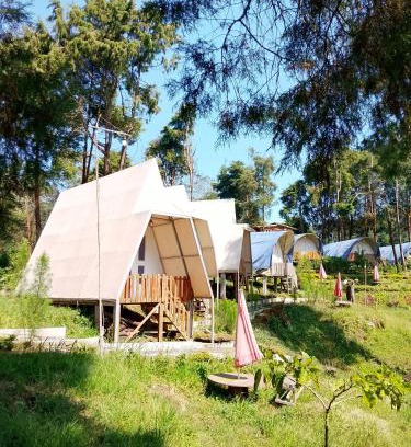 Dieng Kulon Otro | Dieng glamping syari'ah