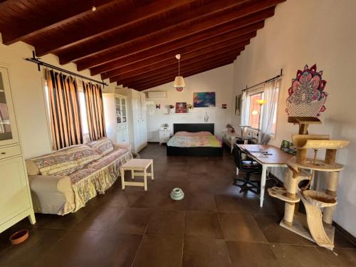 Dasaki Achnas Casa | Digital Detox with 100 Animals Nature Stay