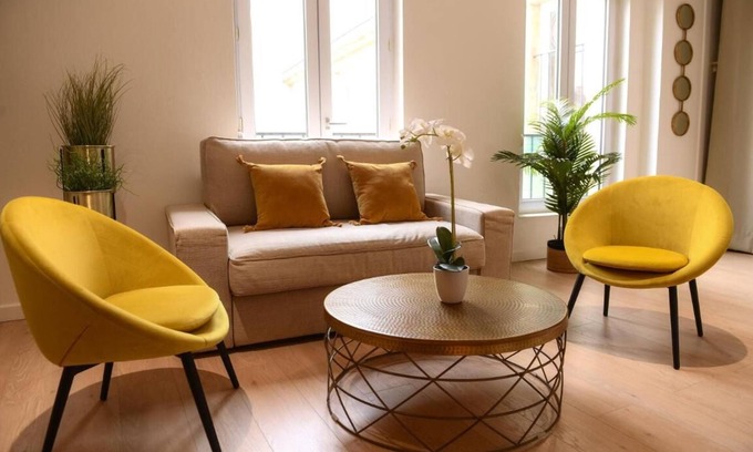 Faubourg Sud Apartamento | Dijon Hyper Centre : Apartment 41m² Facing Museum, Monuments and Restaurants