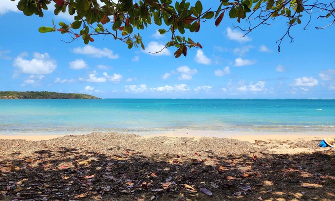 Sardinera Casa | Hermosas Aguas del Caribe - Playa 7 Mares, El Yunque, Isla Icacos