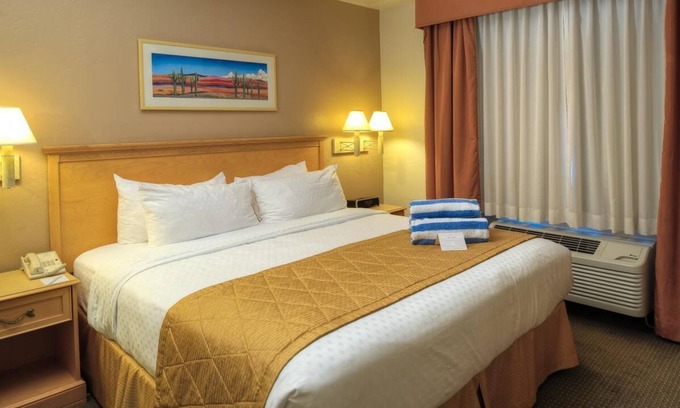 Palo Verde Casa | Discover Budget Stay @ Heart of Tucson: 4 Large Units Near Pima Space Museum!