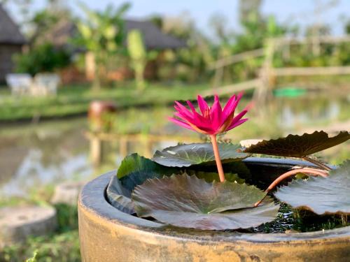 Phong Dien Casa | Discovery Mekong local's life - Breakfast TwoBoatTours Included for 2nights