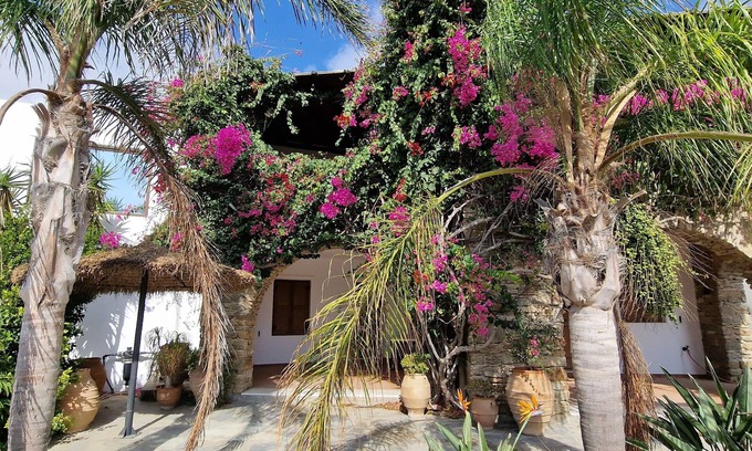 Plintri Casa | Divers House