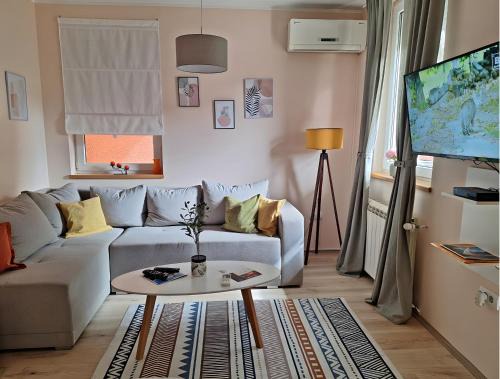 Arandelovac Apartamento | Divna
