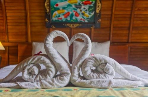 Botoemadeg Cabina | DNR Lumbung Garden