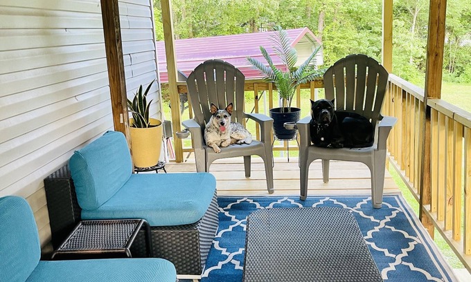 Pointblank Casa | Dog Friendly 🐶 2 bedroom 2 bath Vacation home near Lake Livingston