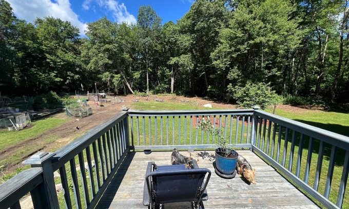 Hampton Otro | Dog lover’s retreat with acres to roam, farm animals, and plenty to explore!