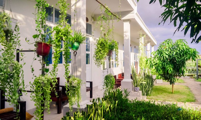 Ho Tram Casa | Doi Dua Homestay