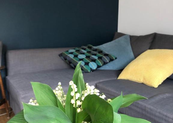 Wałcz Apartamento | Dolne miasto 9 Apartament