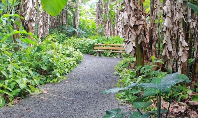 Hilo Hotel | Dolphin Bay Hotel
