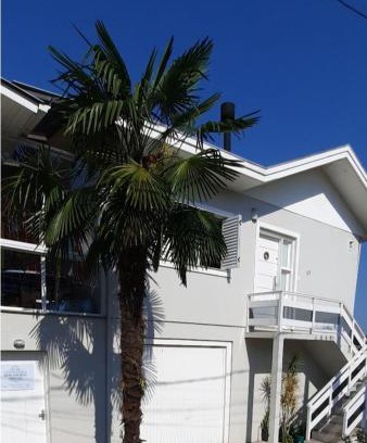 Imigrante Apartamento | Dom Ângelo Hospedagem