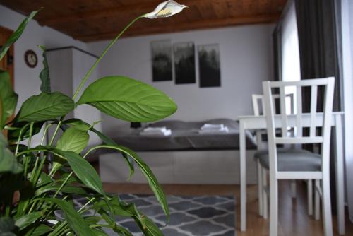 Komarno Casa | Dom Gościnny Grzęda
