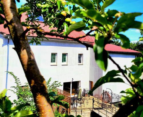 Lubawka Casa | Dom nad potokiem Opawa, na wyłączność, Karpacz, Opawa