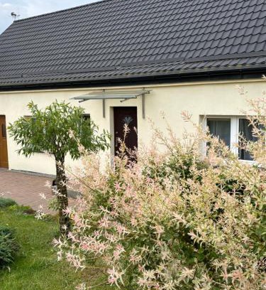 Ustronie Morskie Casa | Dom Wakacyjny na Wsi Blisko Morza
