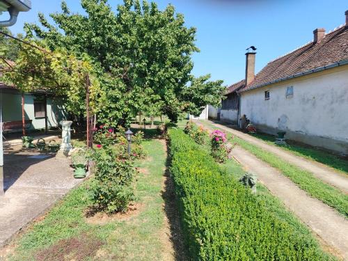 Zasavica Apartamento | Domaćinstvo Zasavica
