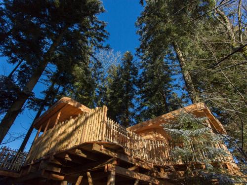Fournet-Blancheroche Casa | Domaine de l'Authentique Cabanes dans les arbres