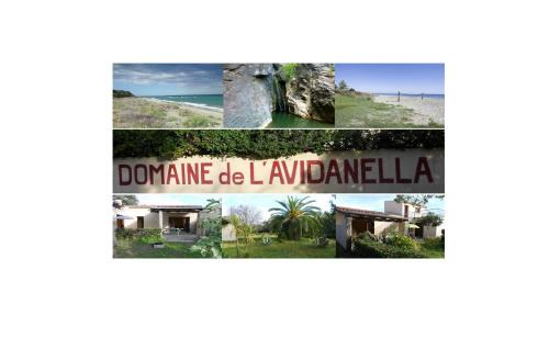 Santa-Lucia-di-Moriani Apartamento | Domaine de l'Avidanella