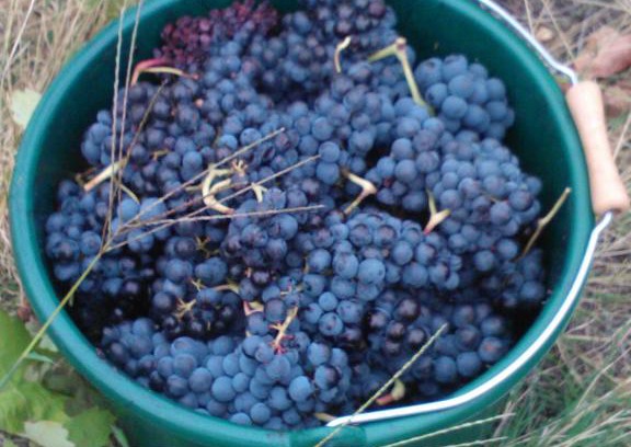 Tresserre Casa | Domaine de Nidolères