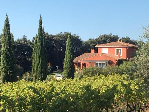 Morieres-les-Avignon Casa | Domaine des Lavarines