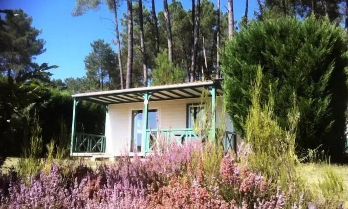 Tamnies Chalet De Esquí | Domaine des Grands Pins **** - Chalet Epicea 4 people