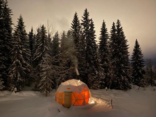 Lillehammer Otro | Dome Glamping with shared bathroom