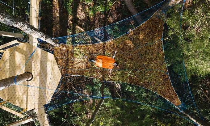 Rogers Hotel | Dome Town: Book all 3 Dome Town Treehouses!