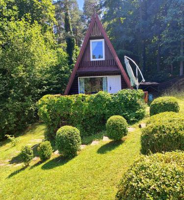 Gietrzwald Cabina | Domek na polanie