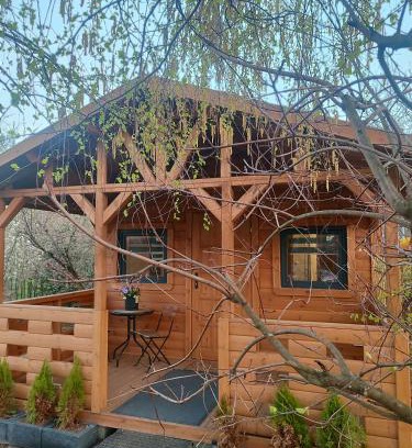Pszczolki Casa | Domek pod Brzozami