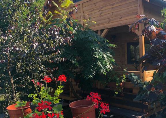 Pszczolki Casa | Domek pod Sumakiem