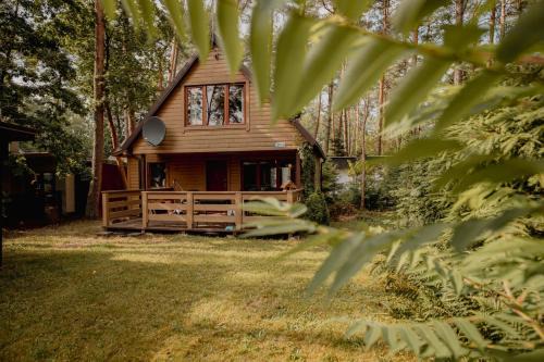 Lukta Casa | Domek Ptasie Radio