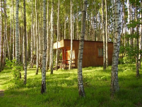 Borkowo Cabina | Domek w Borkowie