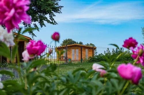Mirsk Casa | Domek w Górach Izerskich 4 i 6 osobowy, agroturystyka, żywe zwierzęta, w pełni wyposażone, plac zabaw dla dzieci, ognisko z kijkami i rusztem, ogrzewanie i klimatyzacja, latem basen