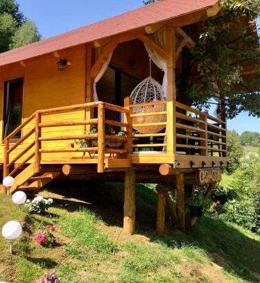Moisei Casa | Domeniul Horj Casa din Stejar Moisei